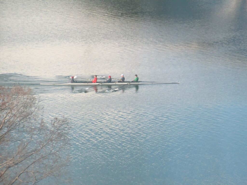 A rowing crew gliding across the calm surface of Lady Bird Lake in Austin on a hazy winter morning