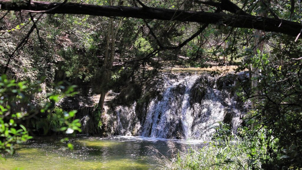 A small waterfall spilling over a limestone ledge into a green pool among cedar and oak trees at Wild Basin Wilderness Preserve