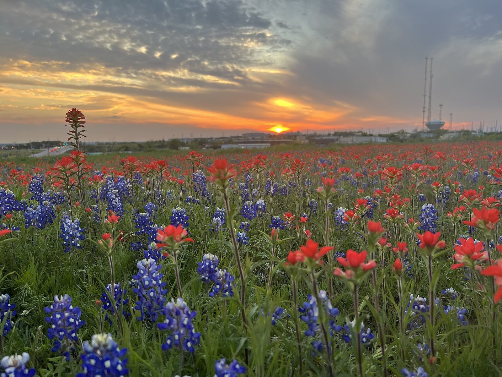 Best Time to Visit Austin: Weather by Season