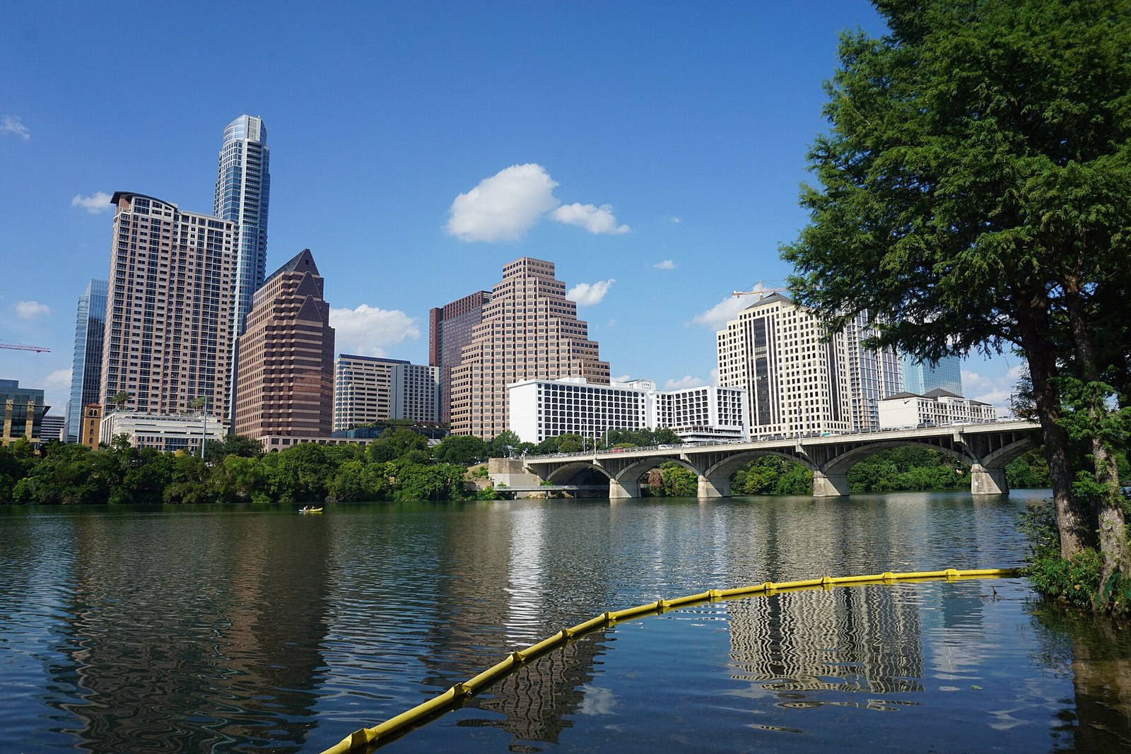Pet-Friendly Austin Travel Guide